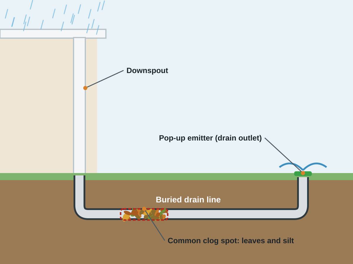 Diagram of a downspout feeding a buried pipe that runs downhill across a yard to a pop-up emitter, with a blockage of seed pods and leaves marked inside the pipe. Diagram: roof water should travel down, then away, and clogs can hide underground.