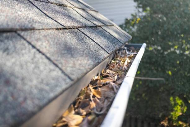 Close-up of a gutter packed with wet brown leaves and pine needles. Stock photo: the gutter should be fully cleaned and checked before guards cover it.
